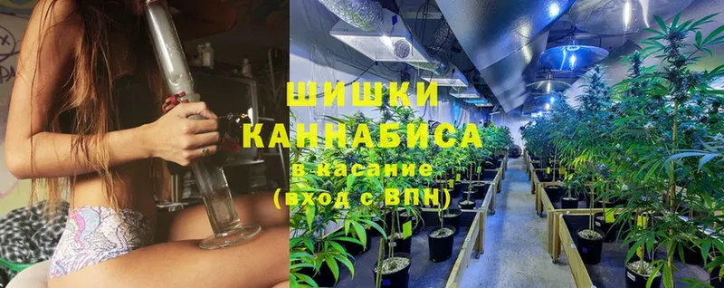 Каннабис White Widow  закладка  Покровск 